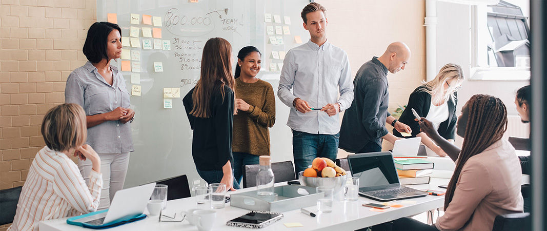 Group of business people collaborating