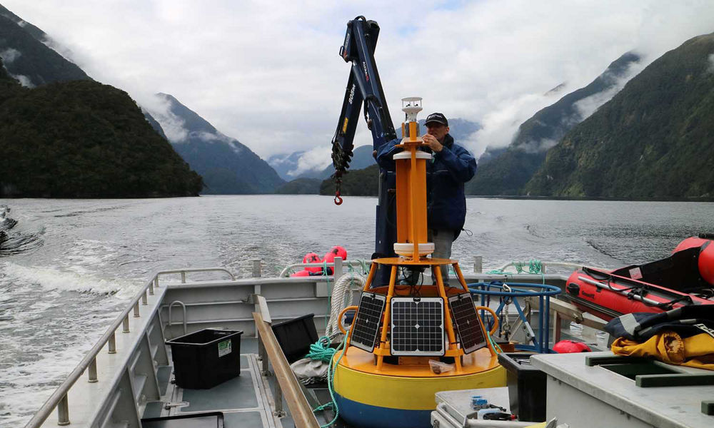 Man preparing a research buoy on a boat in Doubtful Sound, New Zealand