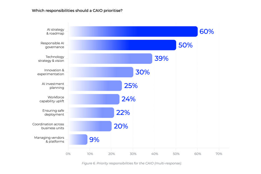 Blue bar graph showing which responsibilities CAIO prioritise.