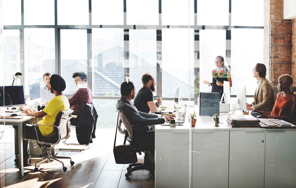 A team working in a sunny office