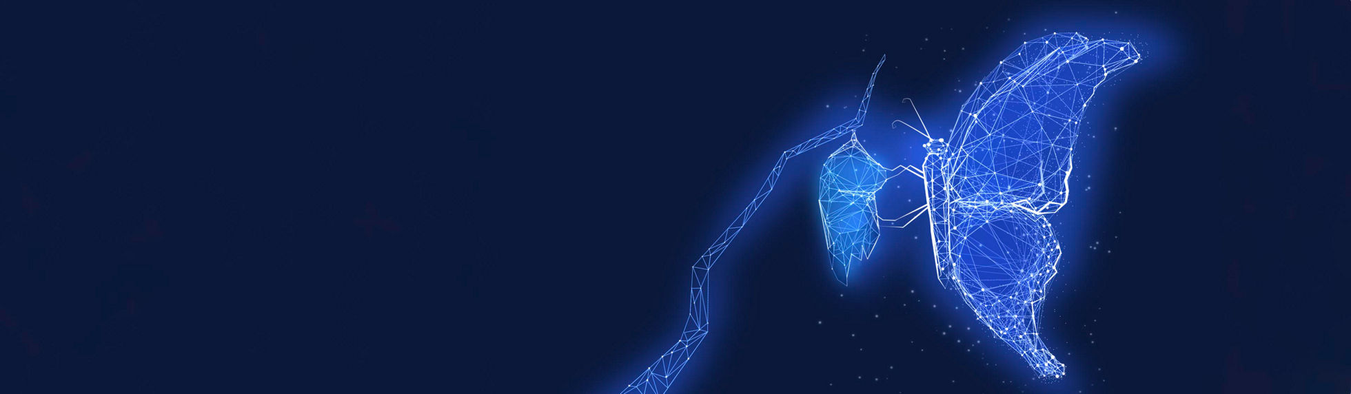 A butterfly made up of connection lines on a cocoon