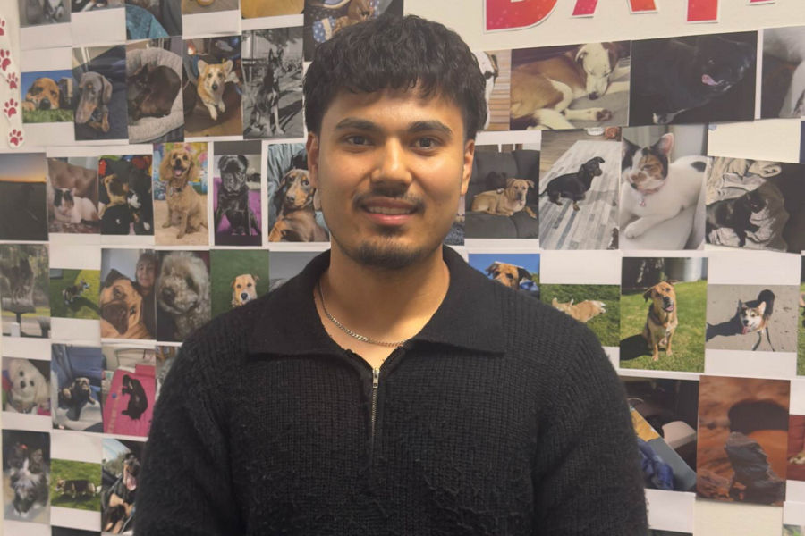 Ejaz Hussain, Datacom Academy graduate
