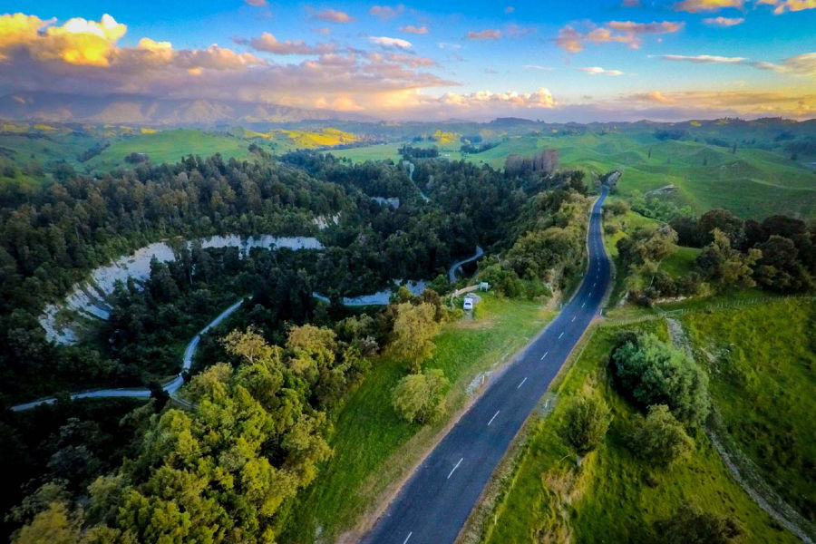 A scenic image of a road and surrounded by green trees and bushland in the Manawatu district