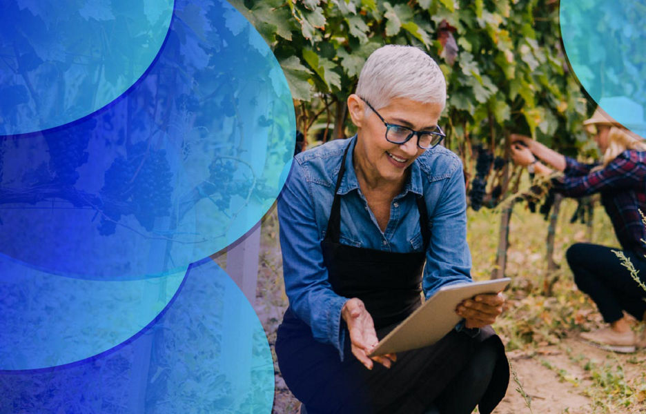 Woman in a vineyard using an iPad while people in background are picking grapes