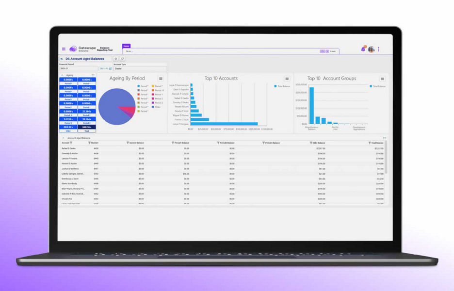 Laptop showing the Datascape enterprise demo website DS account aged balances panel 