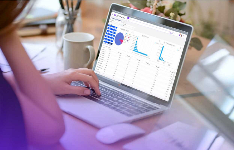 Close up of laptop screen on a table showing datascape website financials