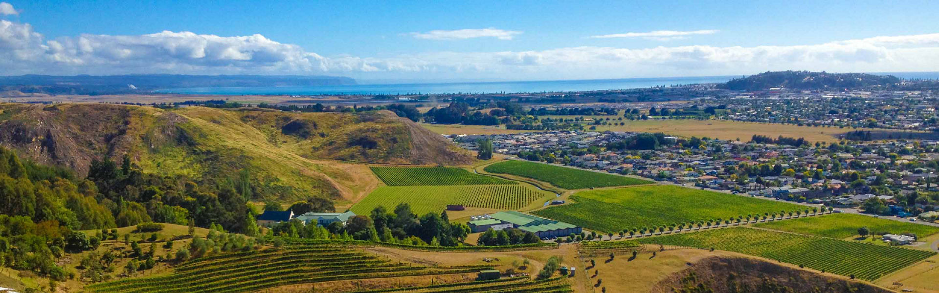 iew from Te Mata Hills, Hawkes Bay, New Zealand
