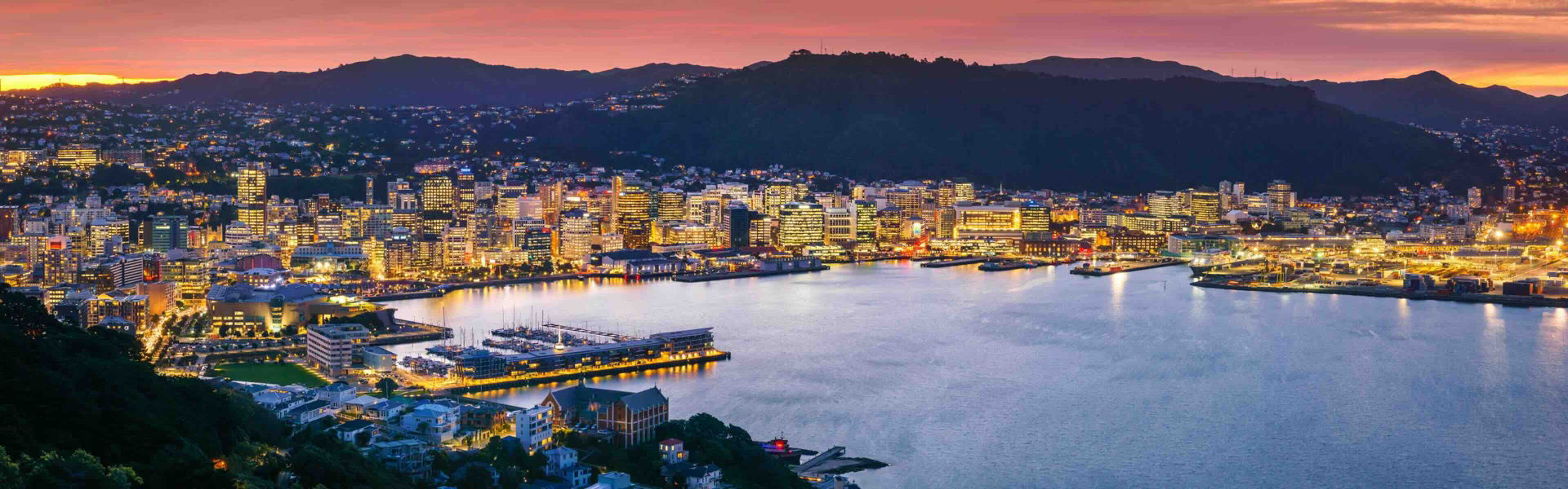 Wellington CBD and harbour from Mount Victoria at sunset.