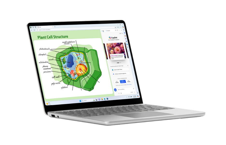 Laptop close up with plant cell diagram on the screen