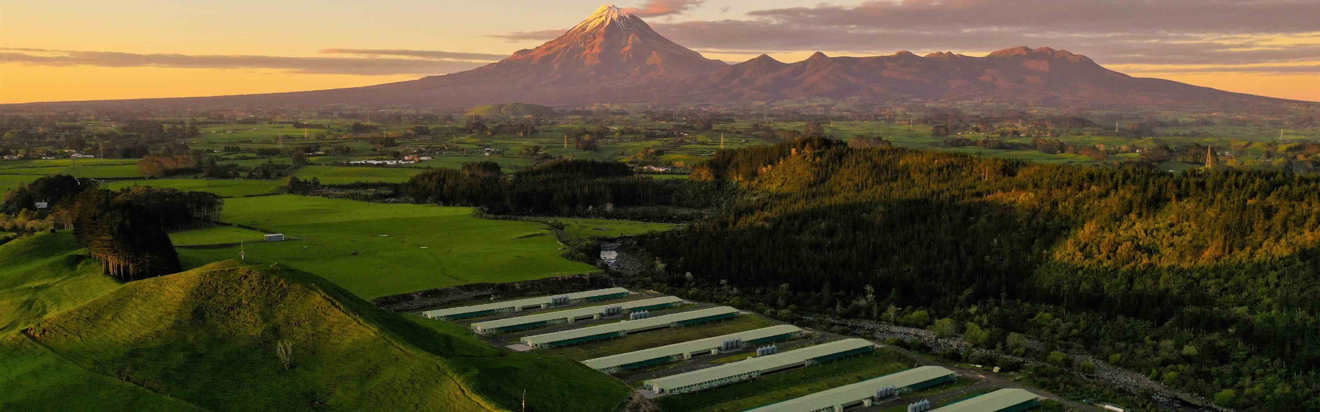Drone shot of Kaipi farm at dawn