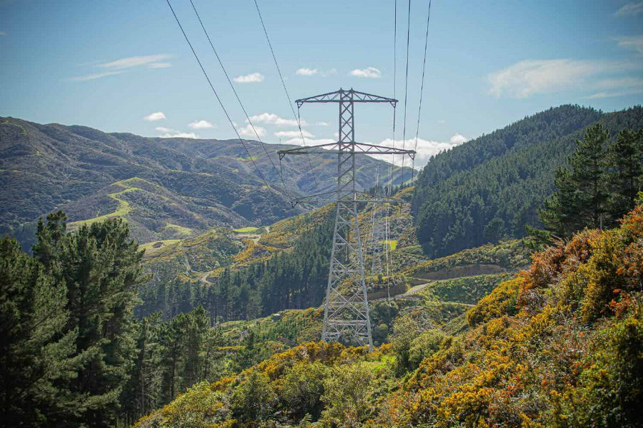 Transpower NZ's power line in remote outdoor forest location.