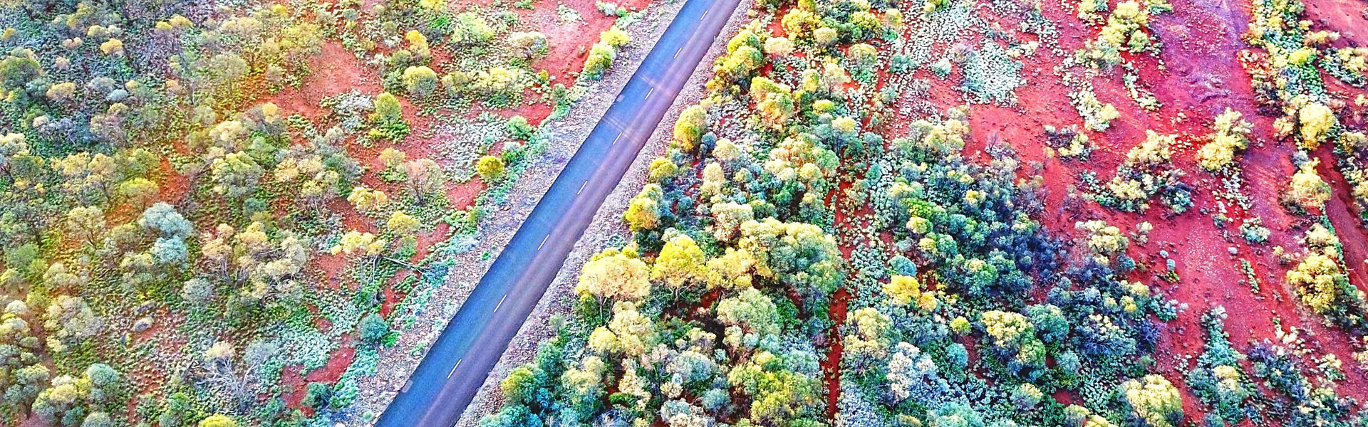 Aerial view of road cutting through Western Australian outback landscape, red and orange clay ground and vibrant green trees growing out of it