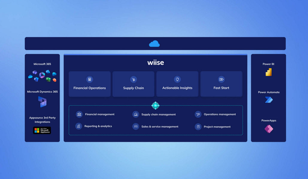 Infographic of Wiise scalable ERP solution 
