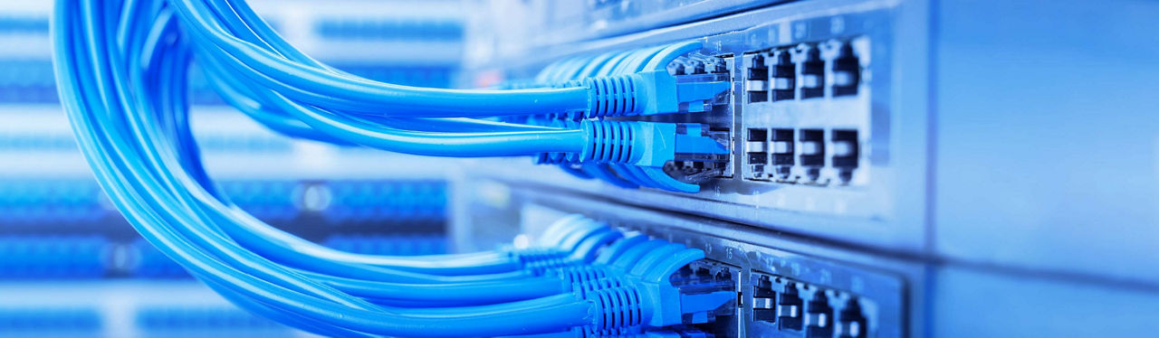 Cat6 ethernet cables plugged into a server